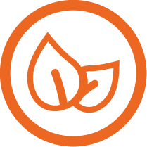 Ingredientes Naturales