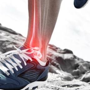 Envejecimiento Saludable y Salud Articular